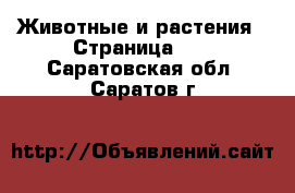  Животные и растения - Страница 11 . Саратовская обл.,Саратов г.